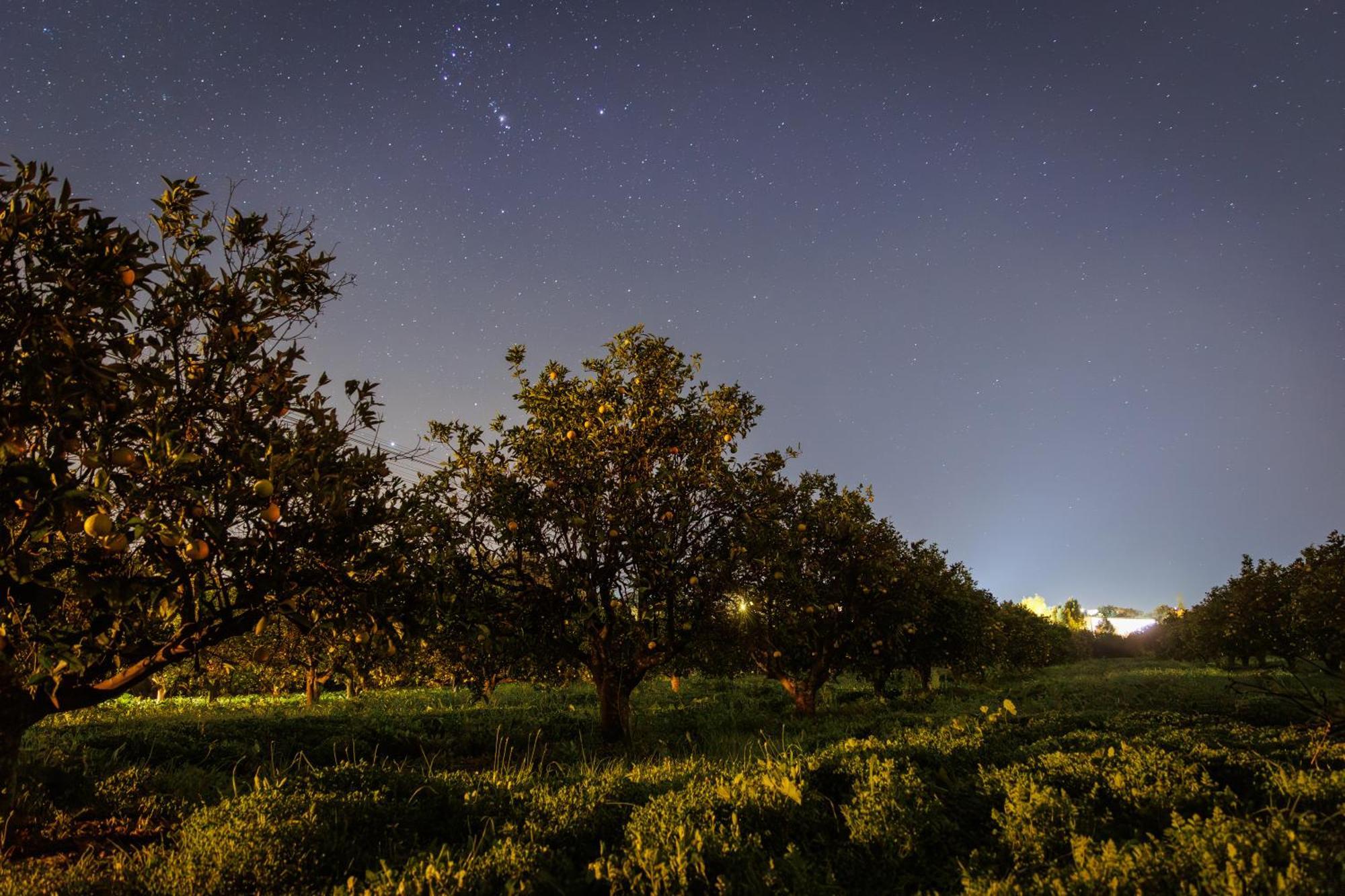 Laranjal Farm House Moncarapacho Dış mekan fotoğraf